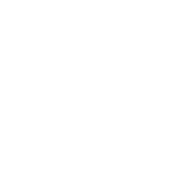 Pinecone, Vector Database, AI Prompt Workshop, Python Development Resources